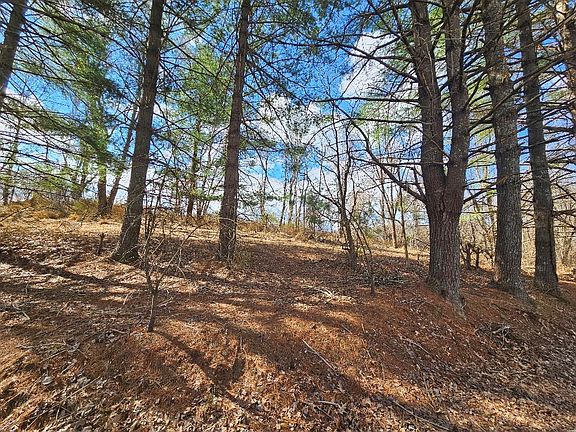 4th image of Tbd Fries Rd