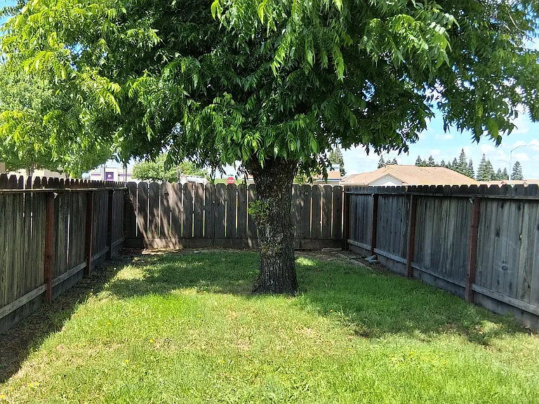 1239 Escalon Ave — Photo 6