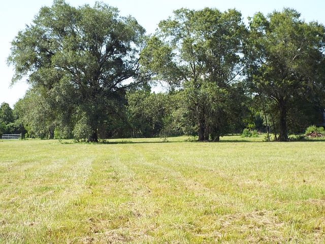 1st image of 783 County Road 797
