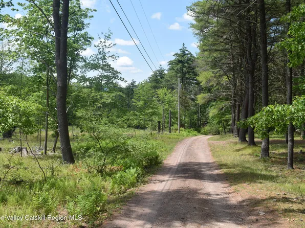 Tbd Anthony, Cairo, NY 12413