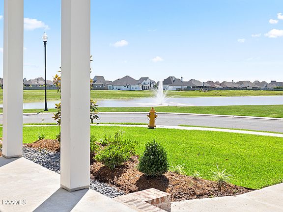 4th image of 100 Sugar Cane Palm Cir