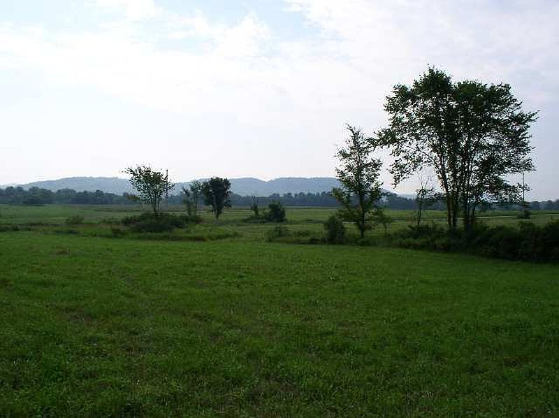 2nd image of 1 WILLIAMS Road