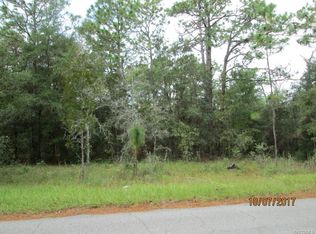 164 S Bauer Rd, Lecanto, FL 34461