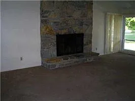 Wood burning Fireplace