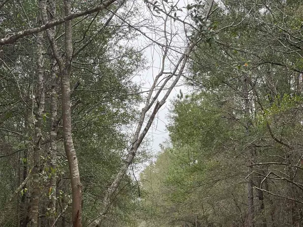 LOT 6 Highway 178, Jay, FL 32565