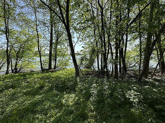 4th image of River Rd