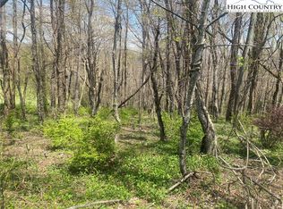 Tbd Wind Rdg, Sparta, NC 28675