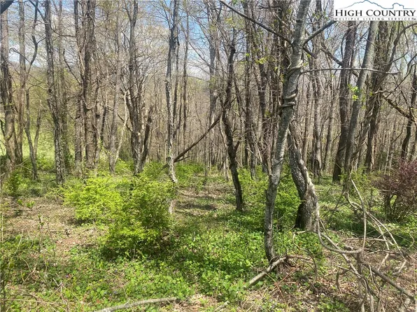 TBD Wind Ridge, Sparta, NC 28675