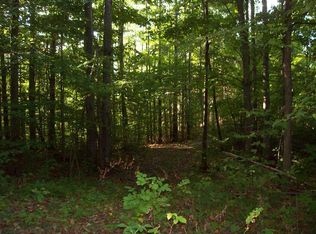 Gilbert Rd, Arcadia, MI 49613