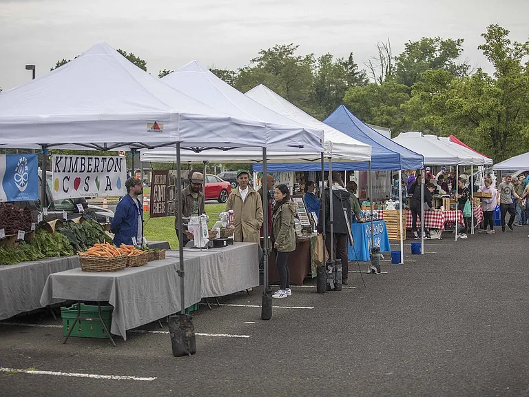 Local Lansdale has a ton of community activities. Lansdale Farmers Market is even open in the winter!