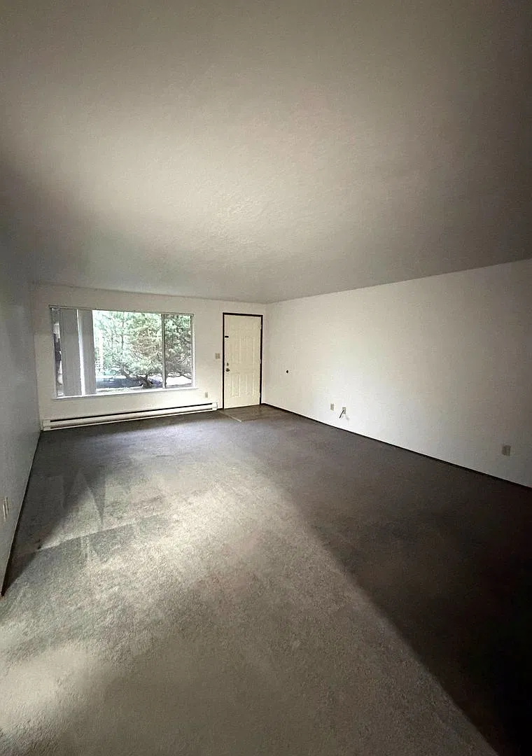 ADAMS — Photo 3