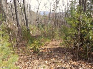 401 Chestnut Cir LOT 54, Butler, TN 37640