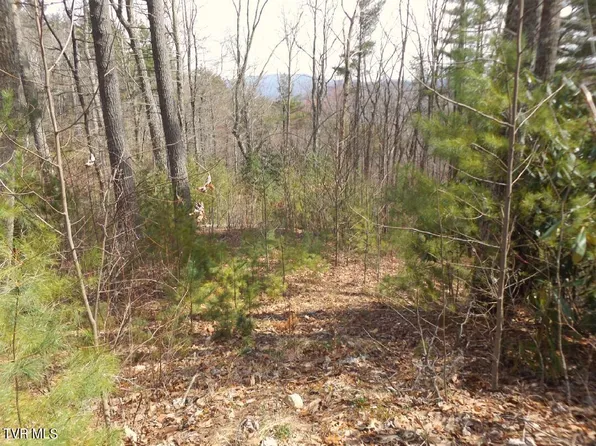 401 Chestnut Cir Lot 54, Butler, TN 37640