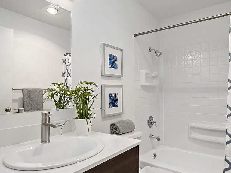 Canopy Apartments — Photo 17