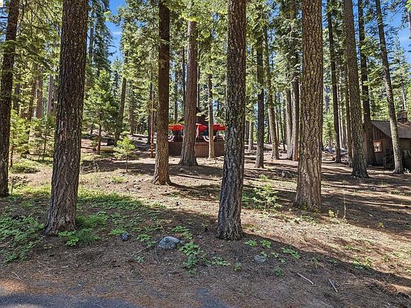 4th image of 202 Sugarpine Dr