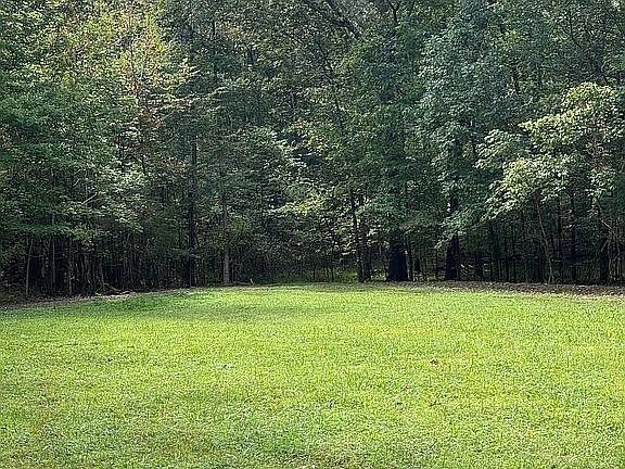 Large back yard
