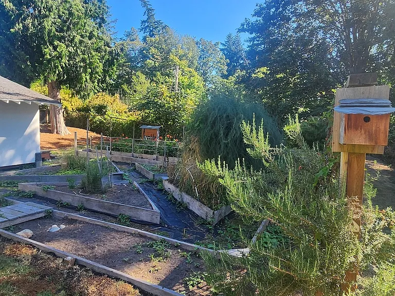 8113 Sand Dollar Ln — Photo 32