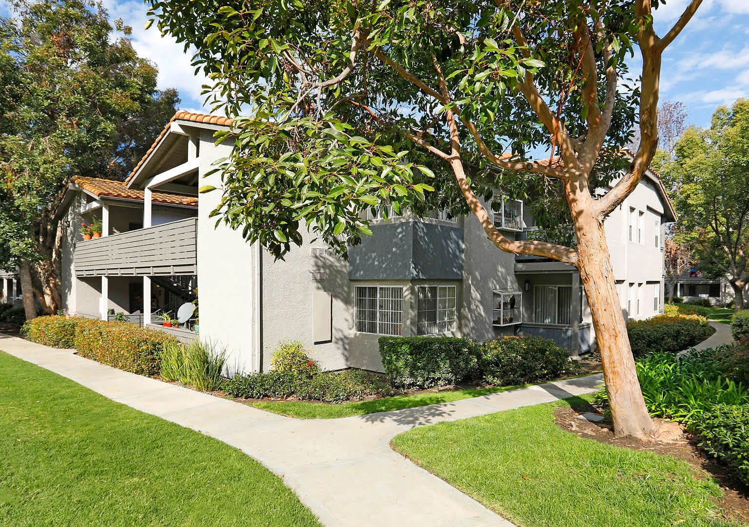Windridge — Photo 2