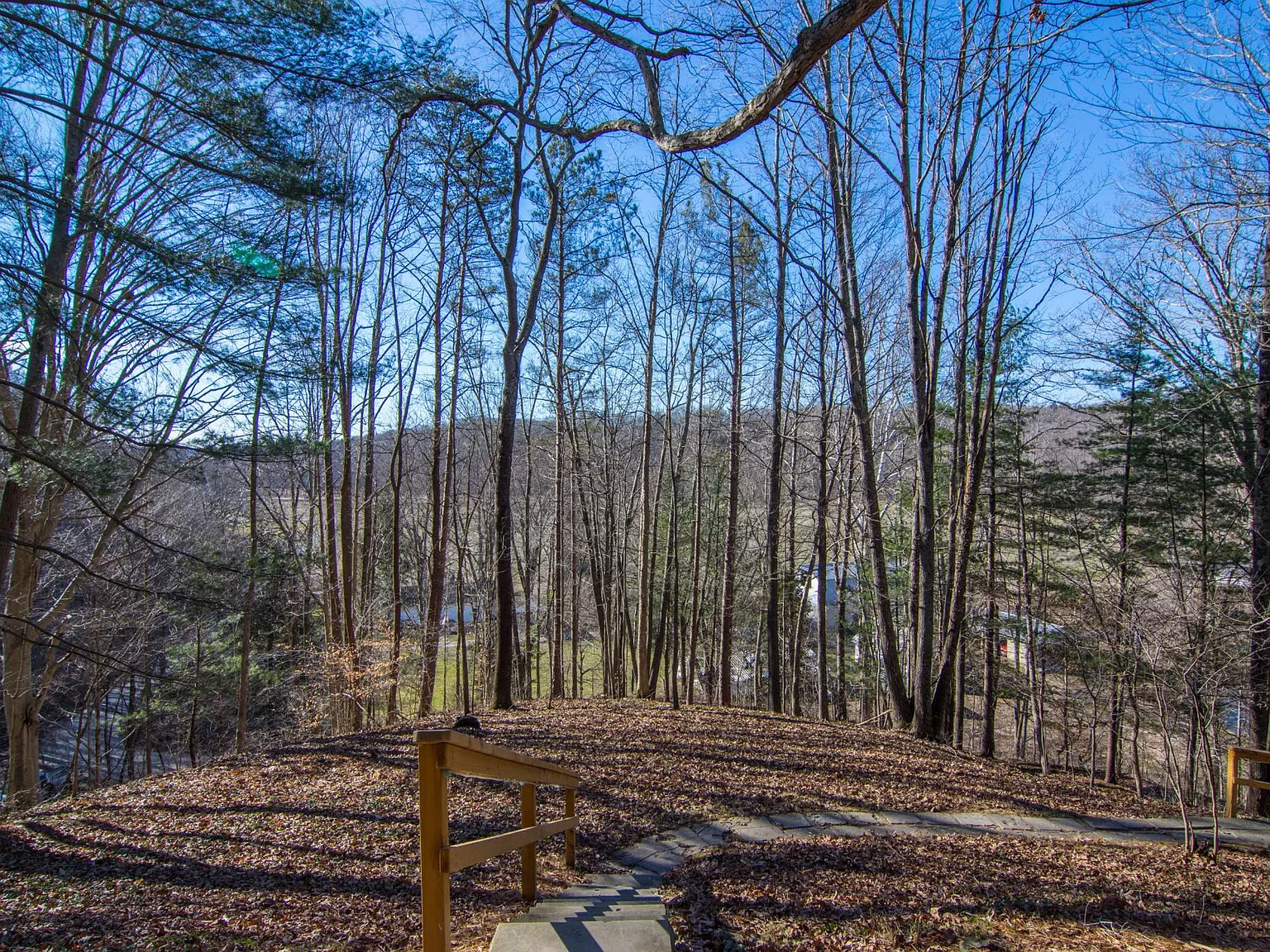 2 bed, 1100 sqft, $2,000 — Photo 4