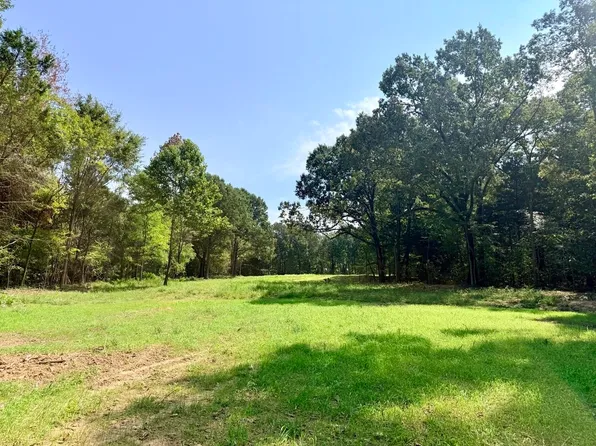 10 Antwine Rd, Gadsden, TN 38337