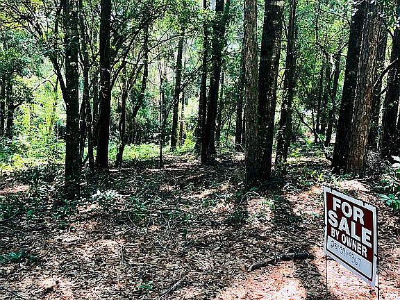 2nd image of Montrose Woods Dr
