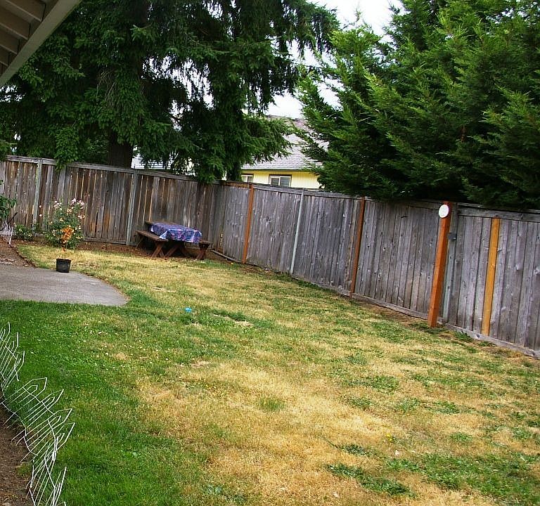 Fenced back yard