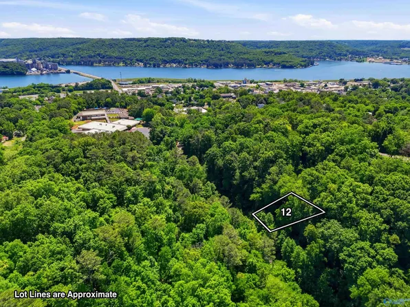 LOT 12 Lusk St, Guntersville, AL 35976