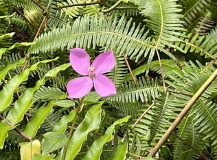 Pakalana Rd LOT 330, Pahoa, HI 96778