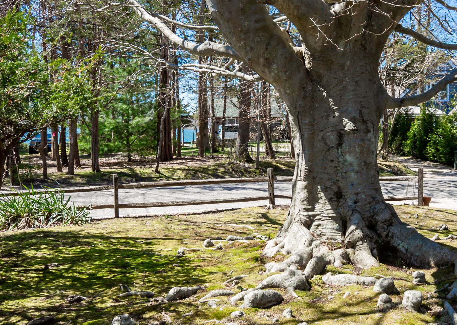 Water Views to the East