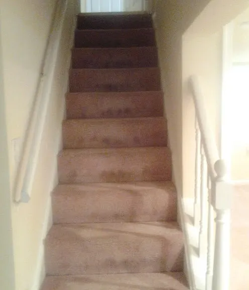 8516 Potomac Ave — Photo 13