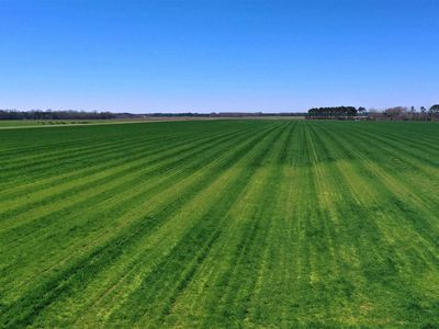 LOT 9 Mack Pond Rd, Atmore, AL, 36502