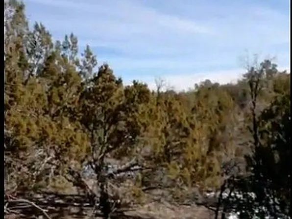 12606 N Kendall Aspen Way, Williams, AZ 86046