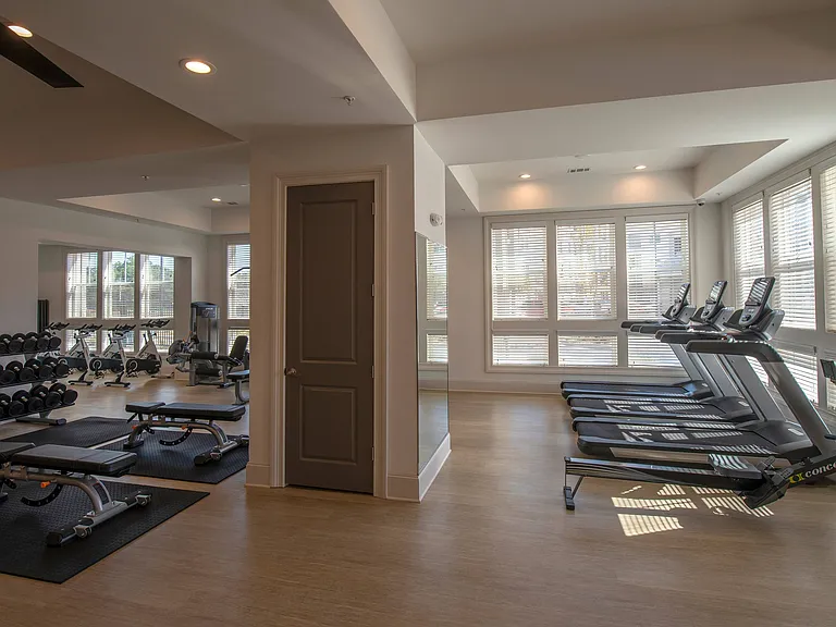 Fitness Center with Cardio and Free Weights