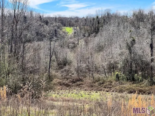 0 Highway 61 S, Natchez, MS 39120