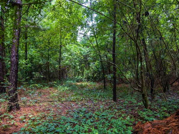 1919 H St, Shiloh, GA 31826