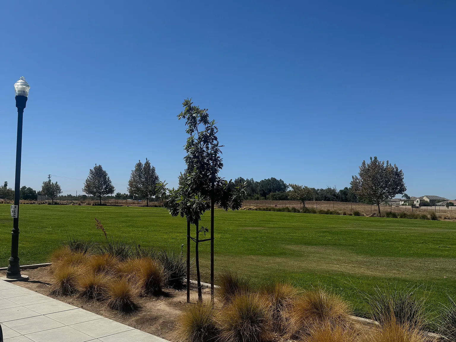 Visionary Rd, Clovis — Photo 2