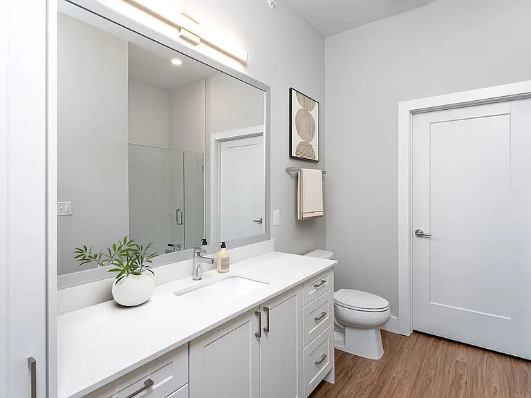 Primary bath with white quartz countertops, white cabinetry, and hard-surface vinyl plank flooring