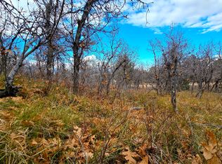 138 Phase #3, Mount Pleasant, UT 84647