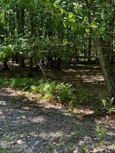 LOT 1004 Running Deer Dr, Greentown, PA, 18426