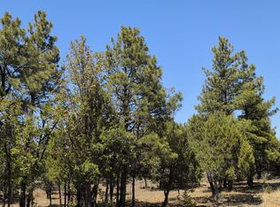 2869 Roundup Ln, Happy Jack, AZ 86024