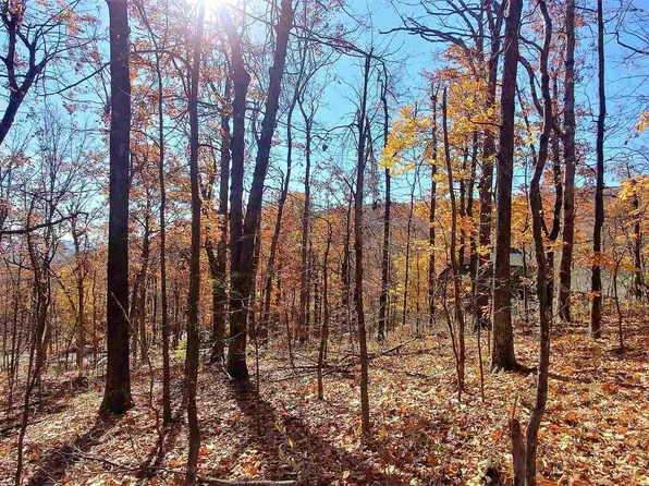 1967 Laurel Springs Dr, Roseland, VA 22967