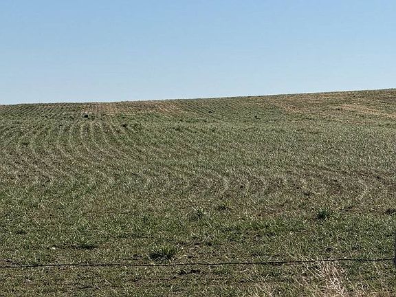 2nd image of 36806 Wa County Rd #3