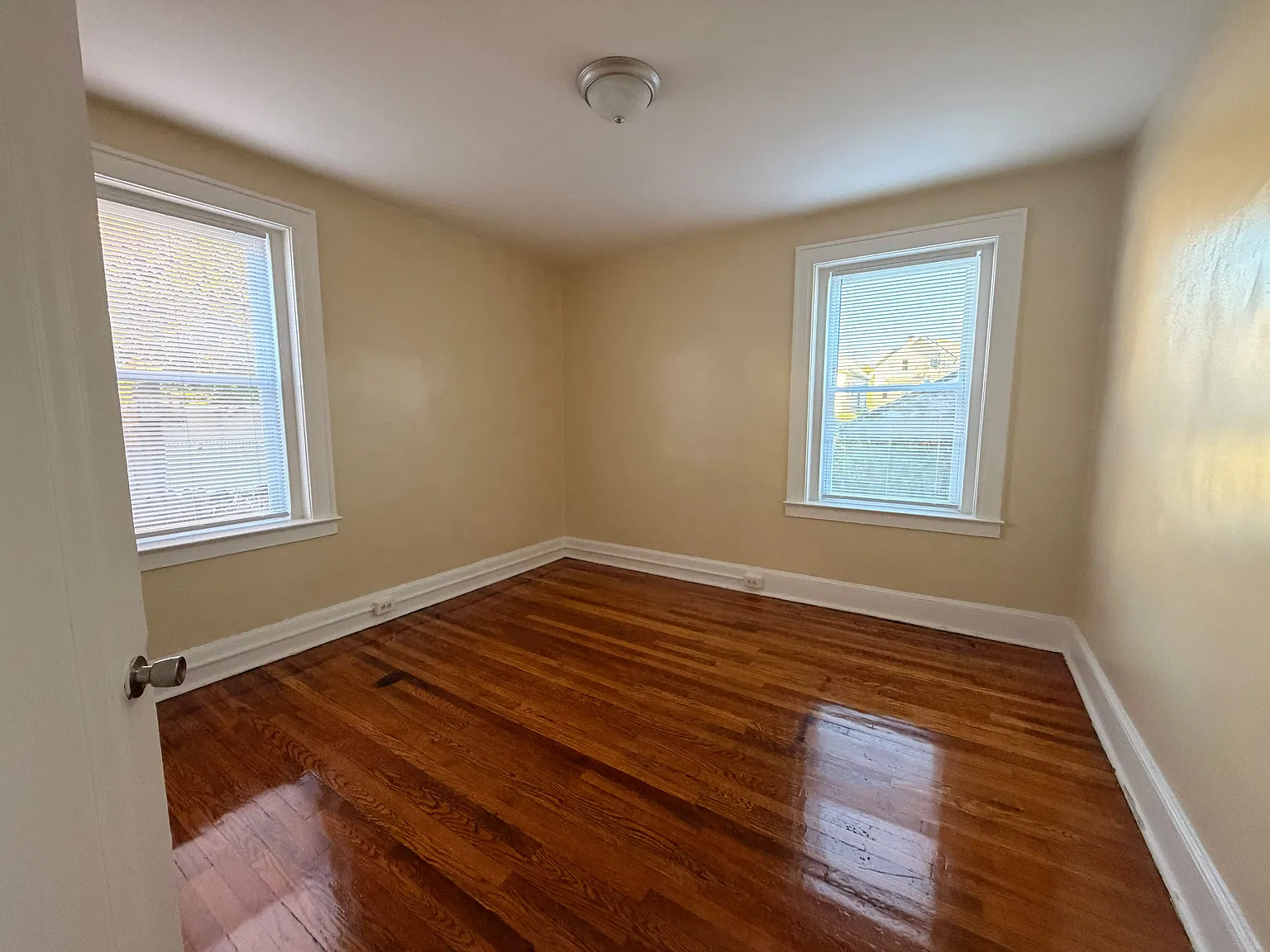 293 Norton St — Photo 4
