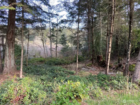 363 Teal Lane, Orcas Island, WA 98245