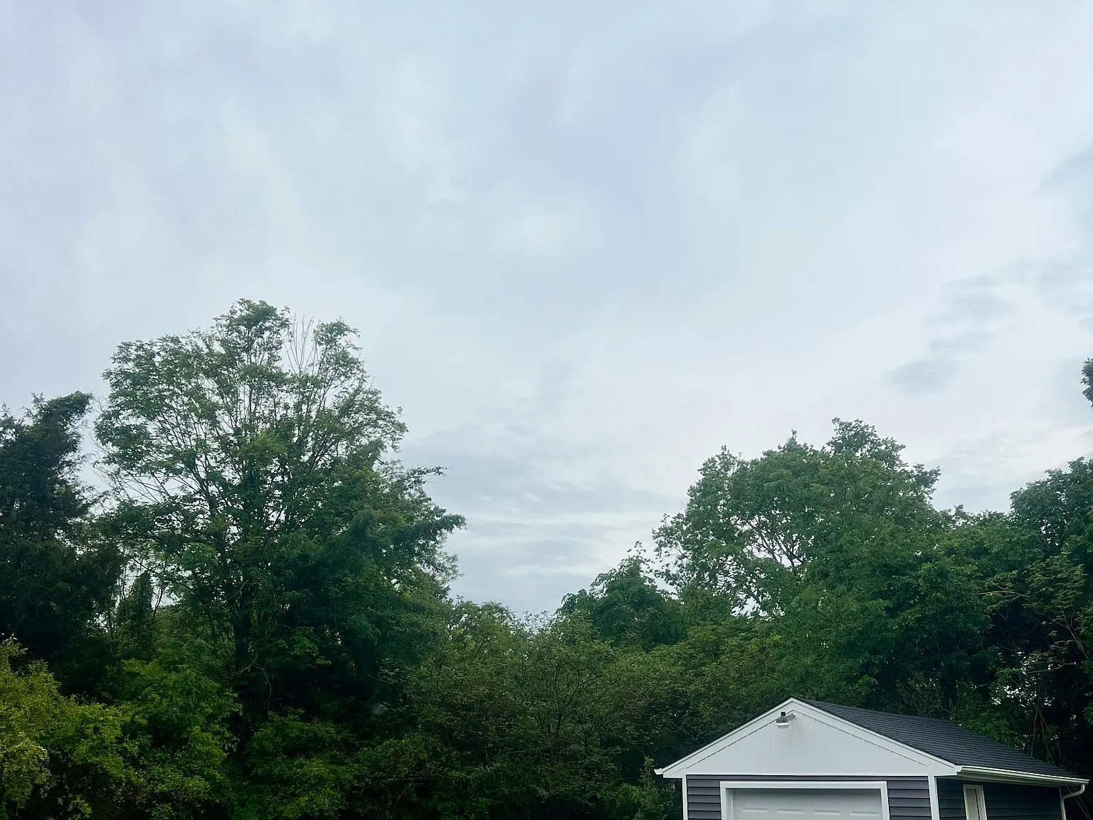 3 bed, 1274 sqft, $1,850 — Photo 4