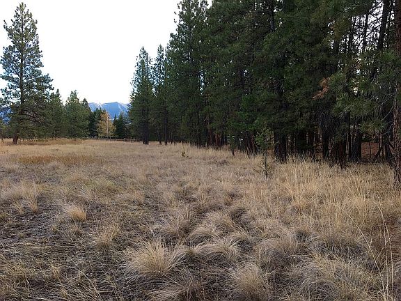 View SW from meadow