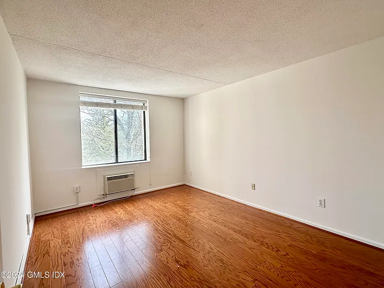 1525 E Putnam Ave #407 — Photo 10