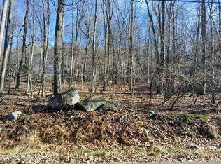 251 Bear Run Dr, Drums, PA 18222