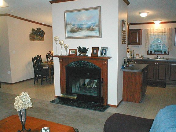 Wood Burning Fireplace