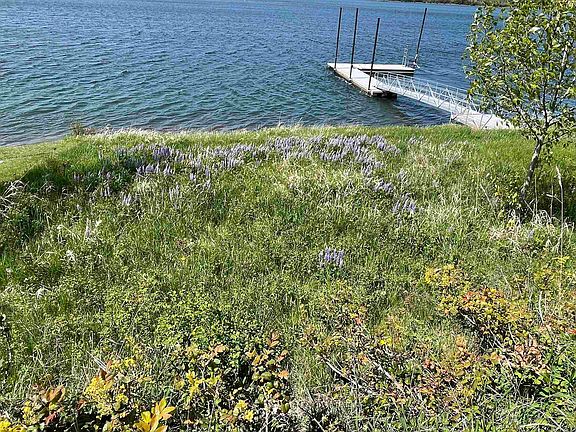 3rd image of 307 Guinevere Dr Lot 35